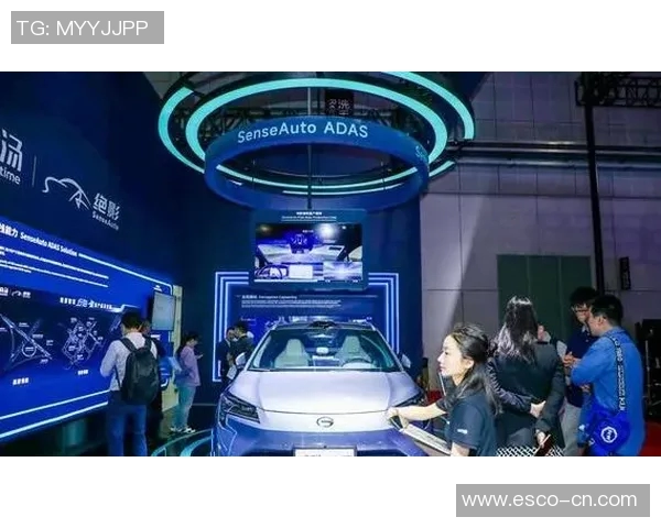 武汉排球队挑战赛特别报道:从传统到创新的转型之路探索与展望
