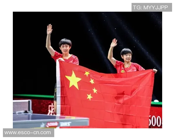 杭州乒乓球队的奋斗历程与荣耀时刻全景回顾