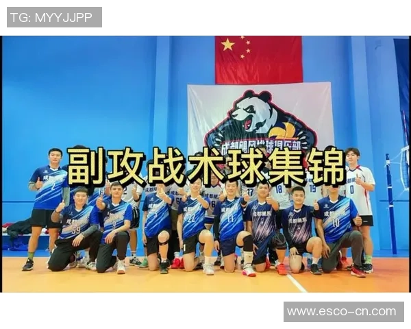 成都排球队战术深度解析与对比研究探讨