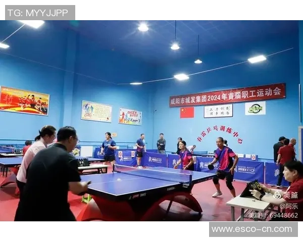 武汉乒乓球队奋斗历程揭秘大师赛背后的拼搏与荣耀