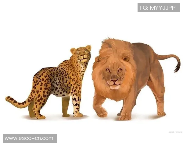 动物与足球明星的速度与灵活性对比探讨