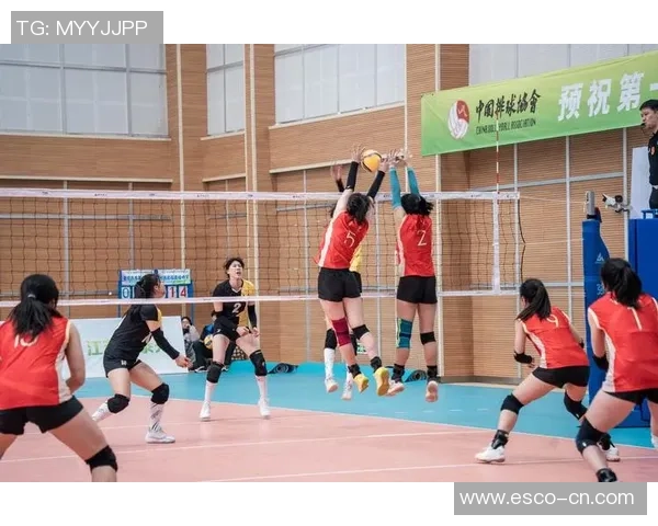 广州排球队在全国排球团队协作排行榜中荣获第四名的佳绩分析